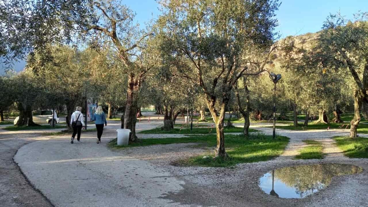 Casa Nataly Bed & Breakfast Torbole Sul Garda Eksteriør bilde